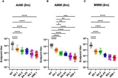 Long-term analysis of humoral responses and spike-specific T cell memory to Omicron variants after different COVID-19 vaccine regimens
